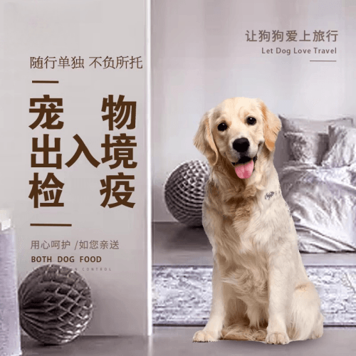 淮南市宠物托运到哥伦比亚猫狗宠物入境规定和