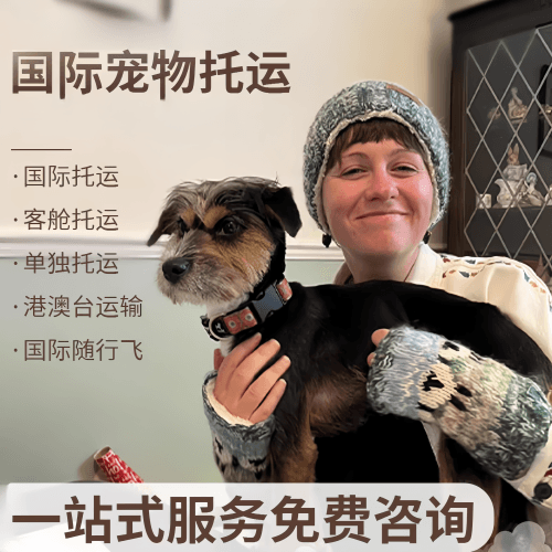 淮南市国际宠物托运到阿根廷宠物入境规定和要