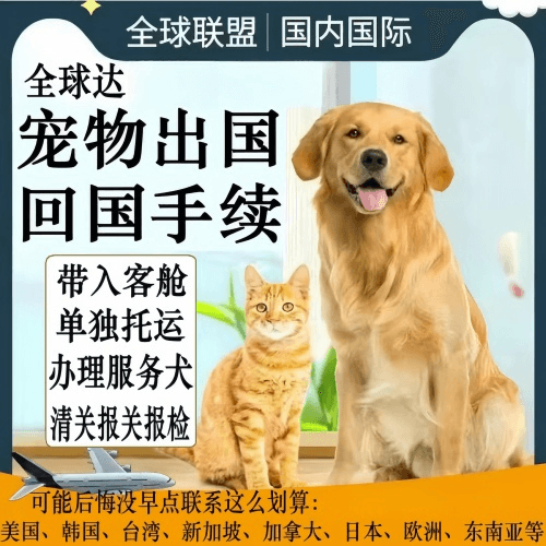 淮南市宠物托运到柬埔寨宠物入境规定和要求
