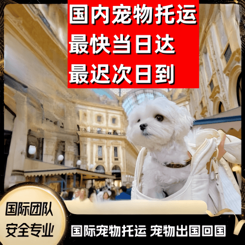 淮南市到澳大利亚（澳洲）宠物入境规定和要求
